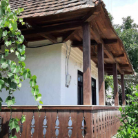 364419428 1688692564962954 2244033445821371552 n